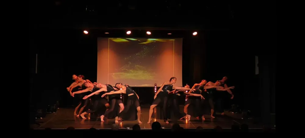 danse-contemporaine-5